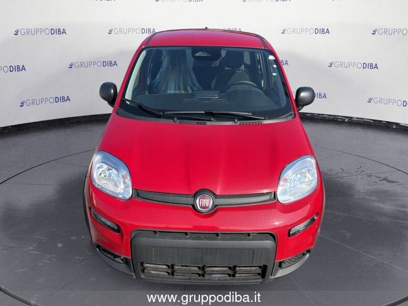 Fiat Panda Panda 1.0 70cv Hybrid Panda- Gruppo Diba