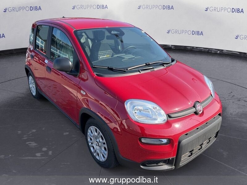 Fiat Panda Panda 1.0 70cv Hybrid Panda- Gruppo Diba