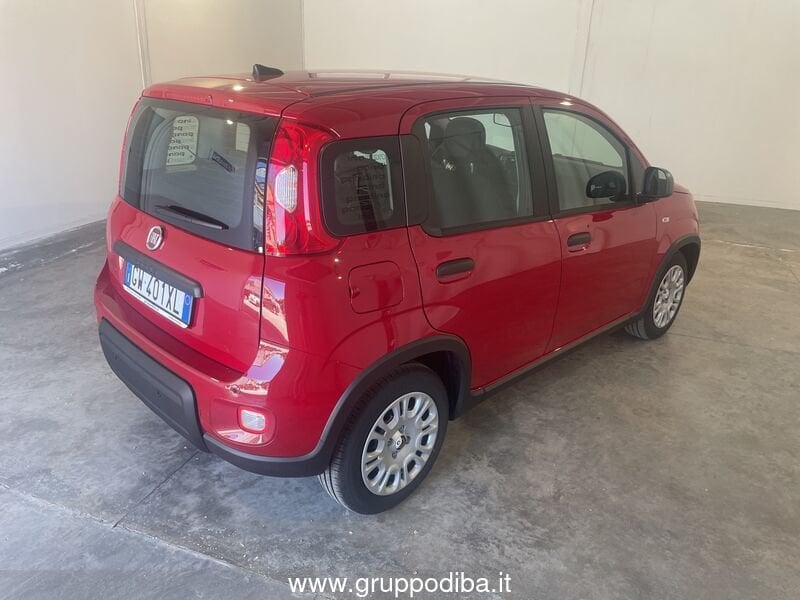 Fiat Panda Panda Serie 7 1.0 70cv HybridPanda- Gruppo Diba