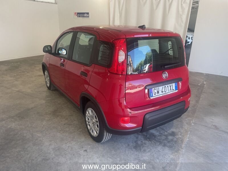 Fiat Panda Panda Serie 7 1.0 70cv HybridPanda- Gruppo Diba