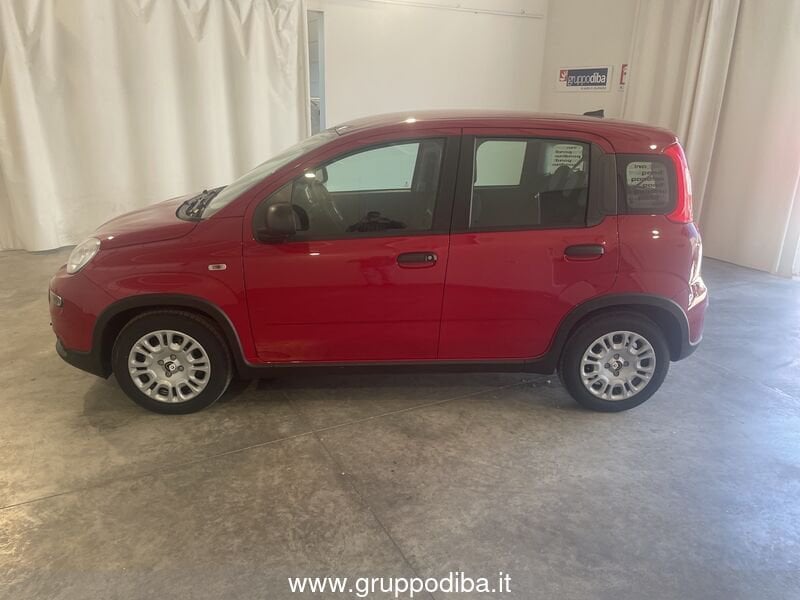 Fiat Panda Panda Serie 7 1.0 70cv HybridPanda- Gruppo Diba