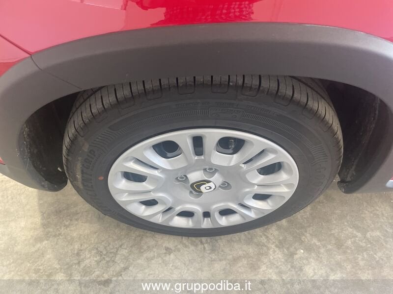 Fiat Panda Panda Serie 7 1.0 70cv HybridPanda- Gruppo Diba