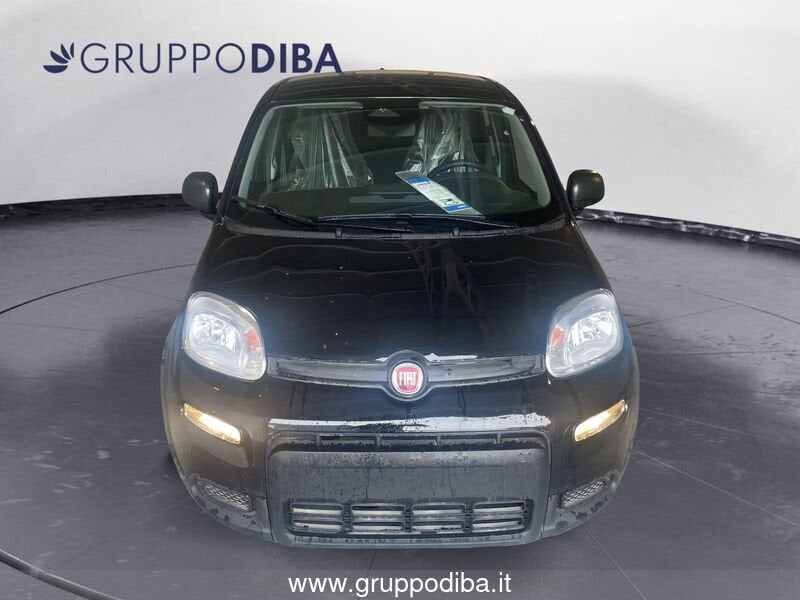 Fiat Panda Panda 1.0 firefly hybrid s&s 70cv- Gruppo Diba