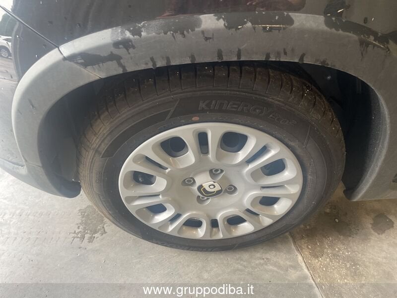 Fiat Panda Panda 1.0 firefly hybrid s&s 70cv- Gruppo Diba