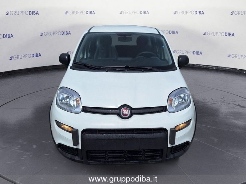 Fiat Panda Panda Serie 7 1.0 70cv HybridPanda- Gruppo Diba