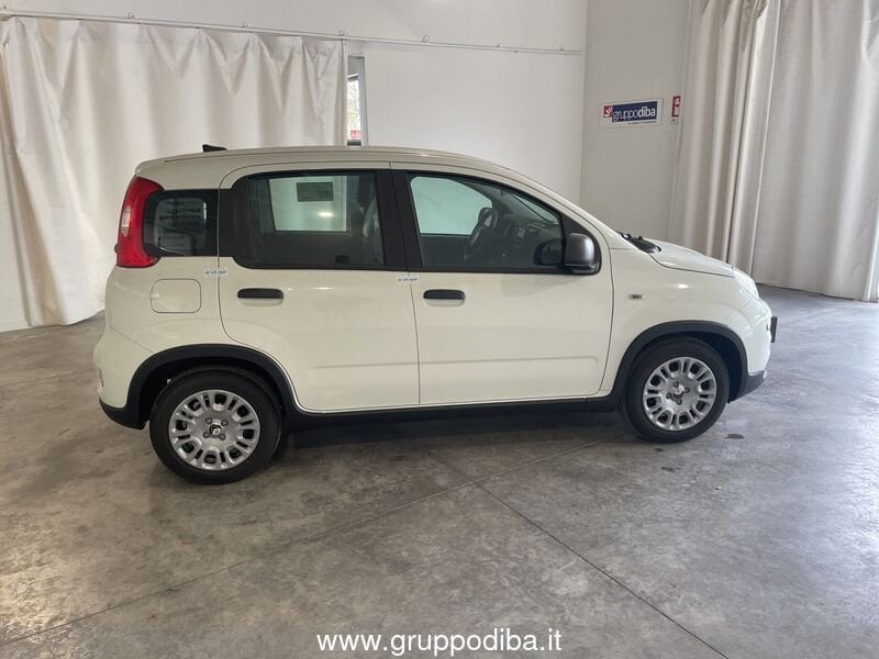 Fiat Panda Panda 1.0 70cv Hybrid Panda- Gruppo Diba