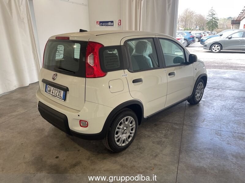 Fiat Panda Panda 1.0 70cv Hybrid Panda- Gruppo Diba