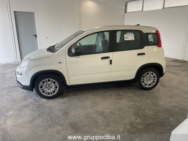Fiat Panda Panda 1.0 70cv Hybrid Panda- Gruppo Diba