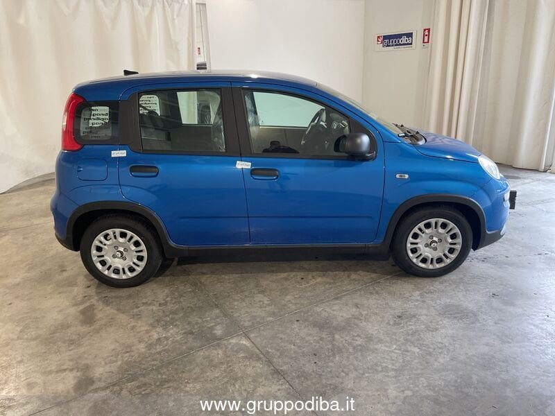Fiat Panda Panda Serie 7 1.0 70cv HybridPanda- Gruppo Diba