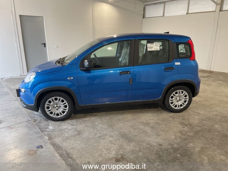Fiat Panda Panda Serie 7 1.0 70cv HybridPanda- Gruppo Diba