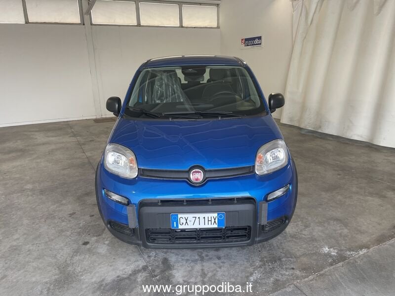 Fiat Panda Panda Serie 7 1.0 70cv HybridPanda- Gruppo Diba