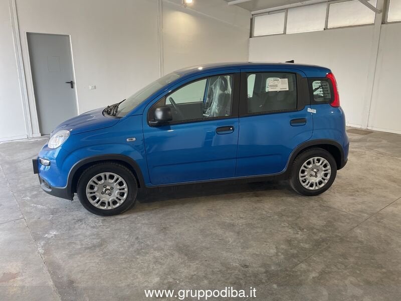Fiat Panda Panda Serie 7 1.0 70cv HybridPanda- Gruppo Diba