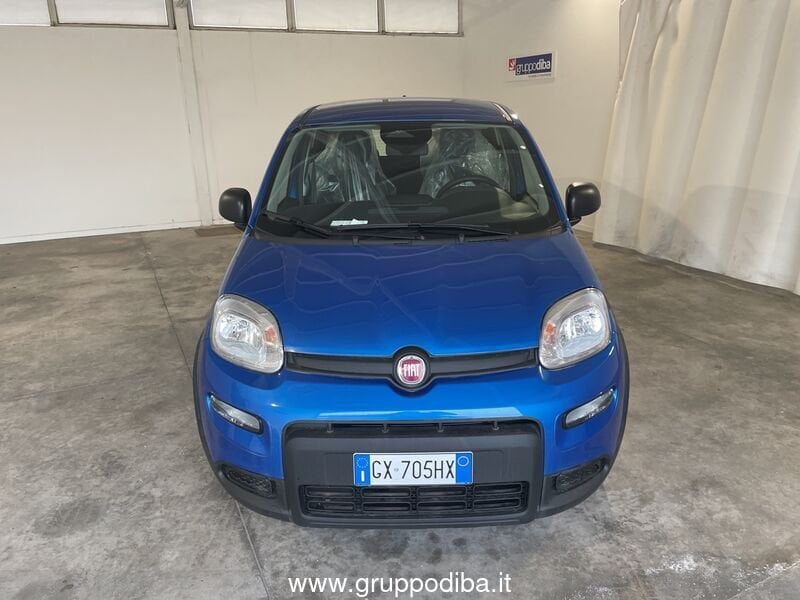 Fiat Panda Panda Serie 7 1.0 70cv HybridPanda- Gruppo Diba