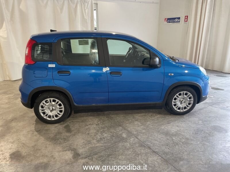 Fiat Panda Panda Serie 7 1.0 70cv HybridPanda- Gruppo Diba