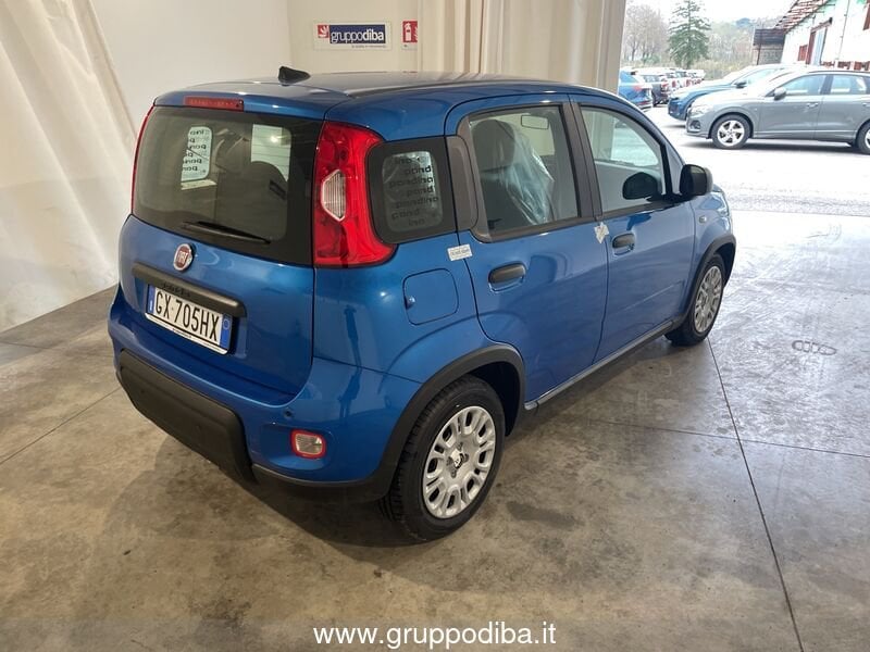 Fiat Panda Panda Serie 7 1.0 70cv HybridPanda- Gruppo Diba