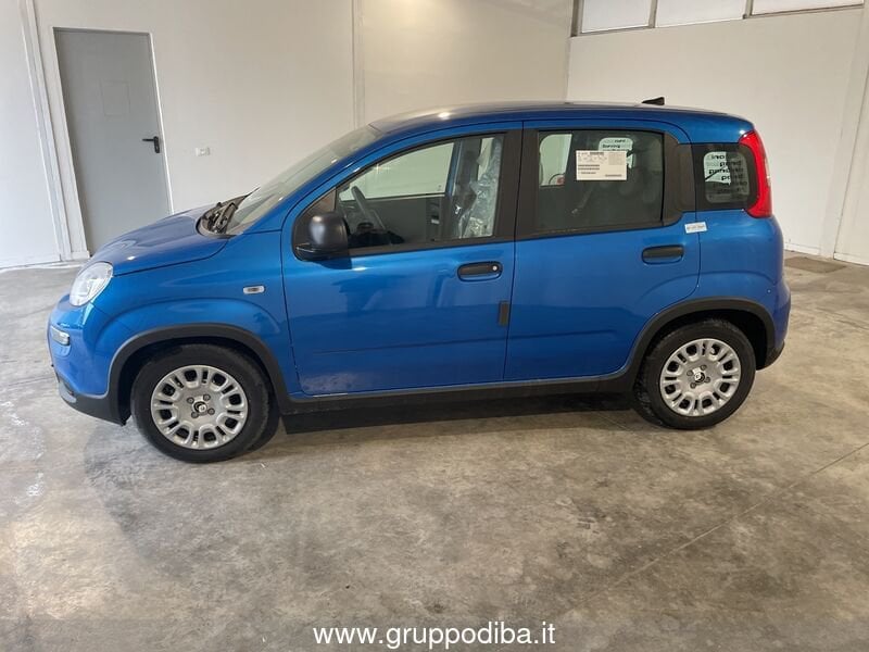 Fiat Panda Panda Serie 7 1.0 70cv HybridPanda- Gruppo Diba