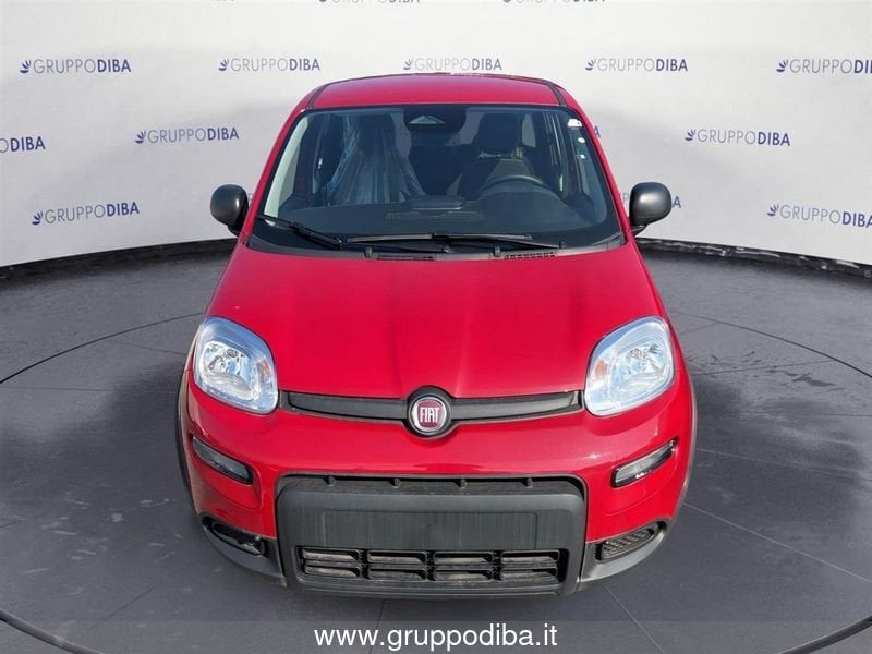 Fiat Panda Panda 1.0 70cv Hybrid Pandina- Gruppo Diba