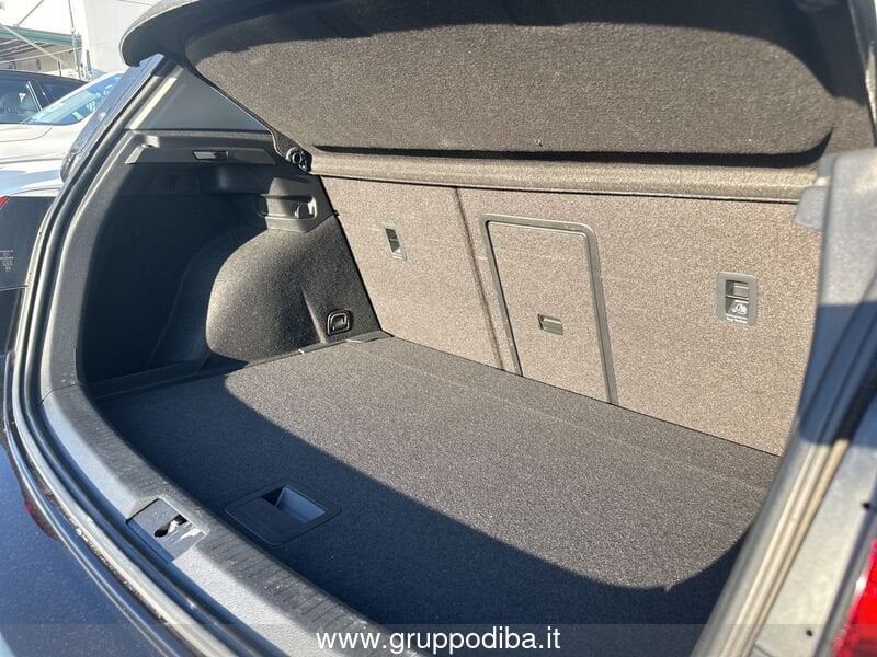 Volkswagen Golf Golf 5p 1.5 tgi Business 130cv dsg- Gruppo Diba