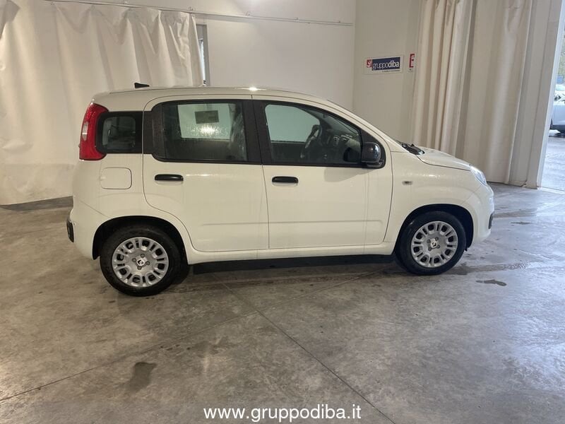 Fiat Panda Panda 1.0 70cv Hybrid Panda- Gruppo Diba