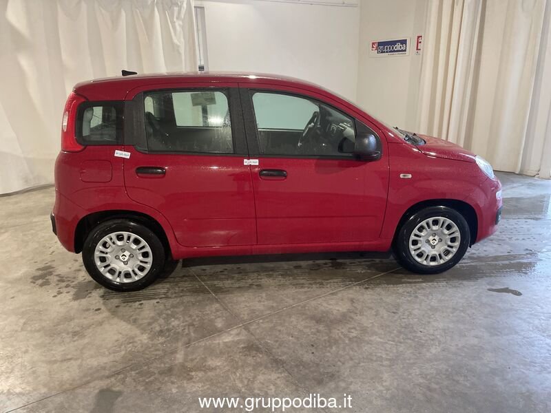 Fiat Panda Panda 1.0 70cv Hybrid Panda- Gruppo Diba