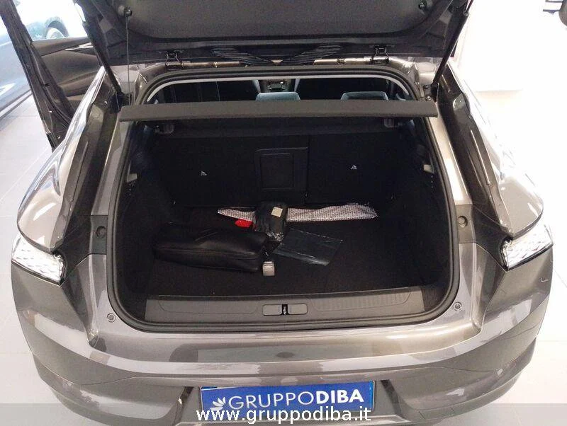 DS DS 4 DS 4 EDITION FRANCE BLUEHDI 130- Gruppo Diba