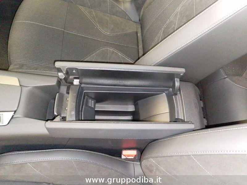 DS DS 4 DS 4 EDITION FRANCE BLUEHDI 130- Gruppo Diba