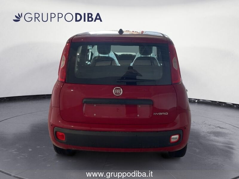 Fiat Panda Panda 1.0 70cv Hybrid Panda- Gruppo Diba