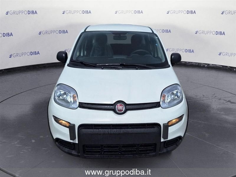 Fiat Panda Panda 1.0 70cv Hybrid Panda- Gruppo Diba