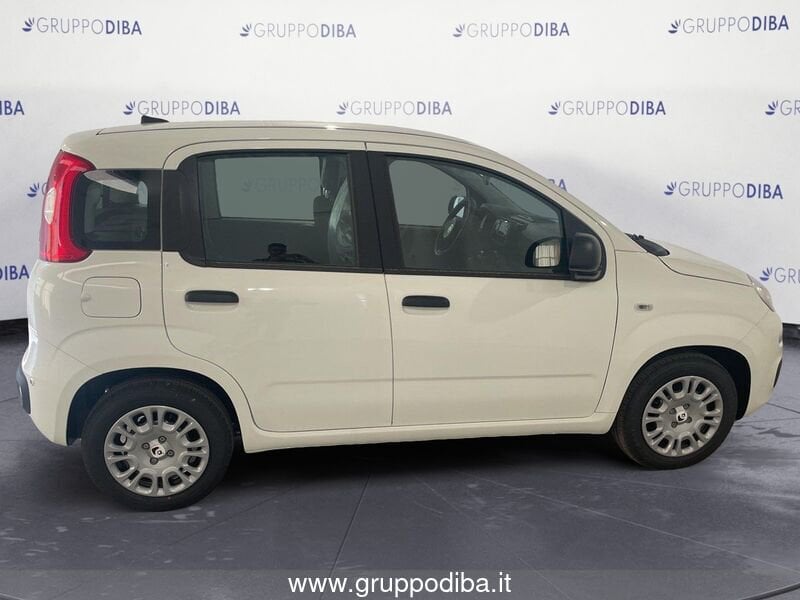 Fiat Panda Panda 1.0 70cv Hybrid Panda- Gruppo Diba