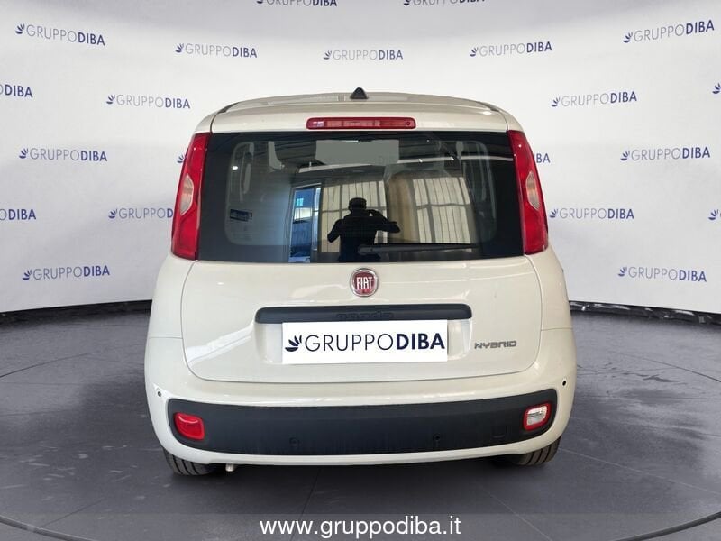 Fiat Panda Panda 1.0 70cv Hybrid Panda- Gruppo Diba