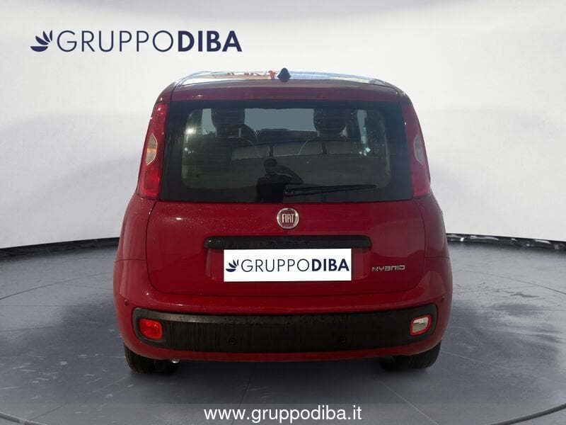 Fiat Panda Panda 1.0 70cv Hybrid Panda- Gruppo Diba