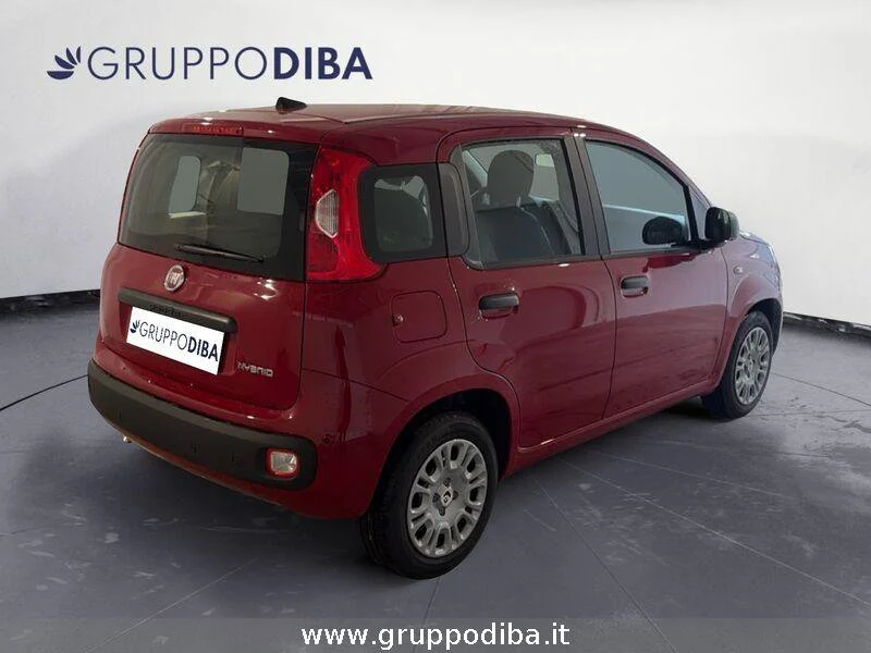 Fiat Panda Panda 1.0 70cv Hybrid Panda- Gruppo Diba