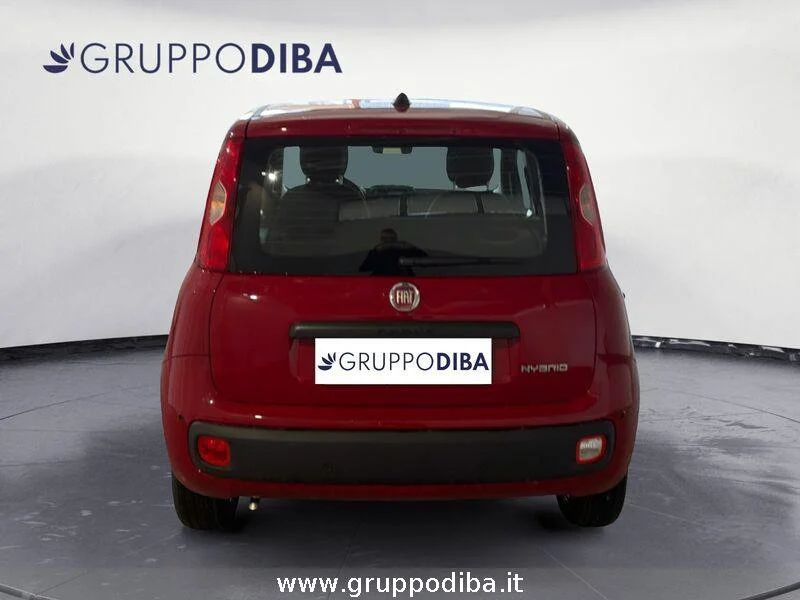 Fiat Panda Panda 1.0 70cv Hybrid Panda- Gruppo Diba