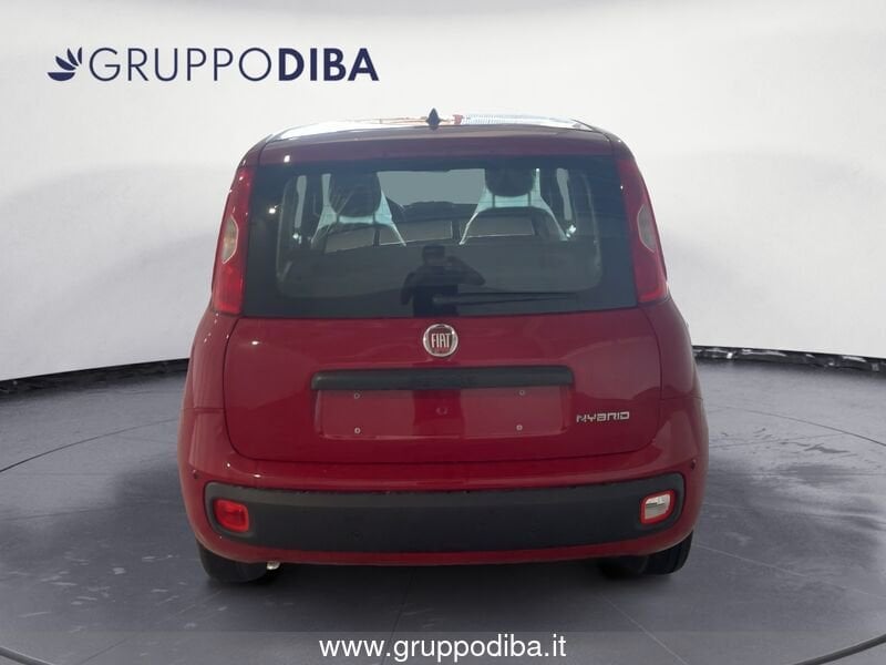 Fiat Panda Panda 1.0 70cv Hybrid Panda- Gruppo Diba