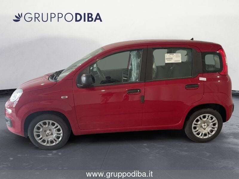 Fiat Panda Panda 1.0 70cv Hybrid Panda- Gruppo Diba