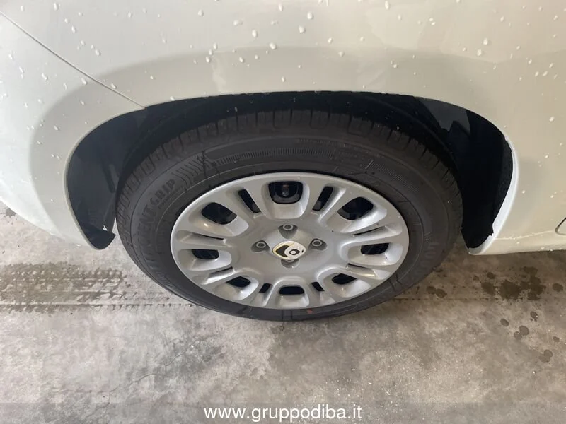 Fiat Panda Panda 1.0 70cv Hybrid Panda- Gruppo Diba