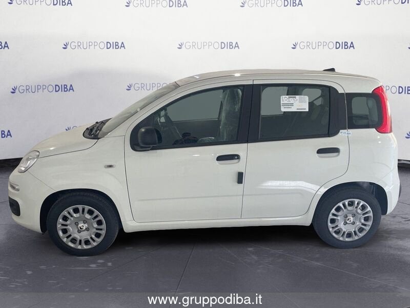 Fiat Panda Panda 1.0 70cv Hybrid Panda- Gruppo Diba
