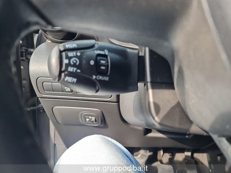 Citroen C3 Aircross C3 Aircross 1.5 bluehdi Shine s&s 100cv- Gruppo Diba