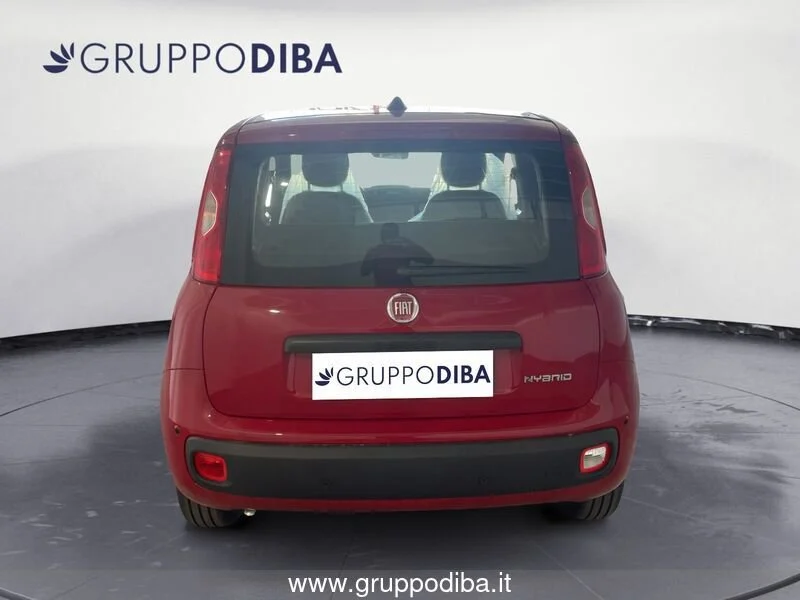 Fiat Panda Panda 1.0 70cv Hybrid Panda- Gruppo Diba