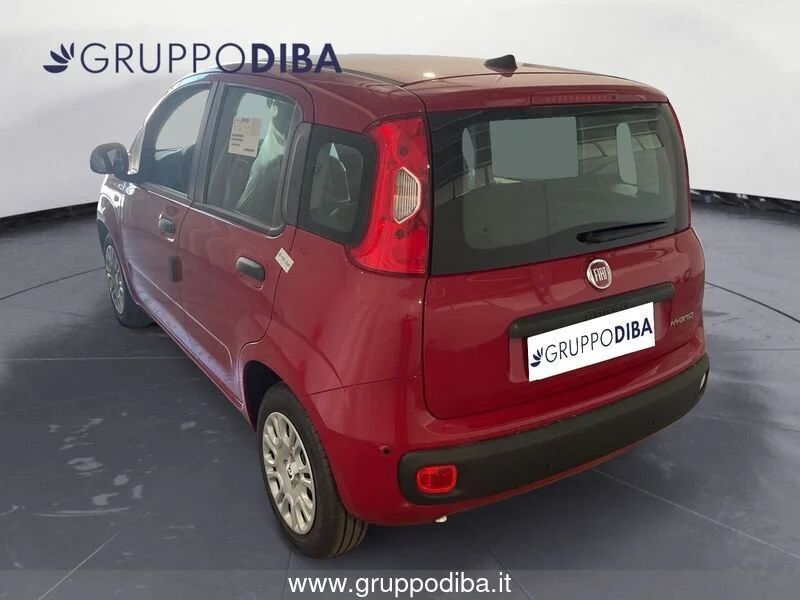 Fiat Panda Panda 1.0 70cv Hybrid Panda- Gruppo Diba