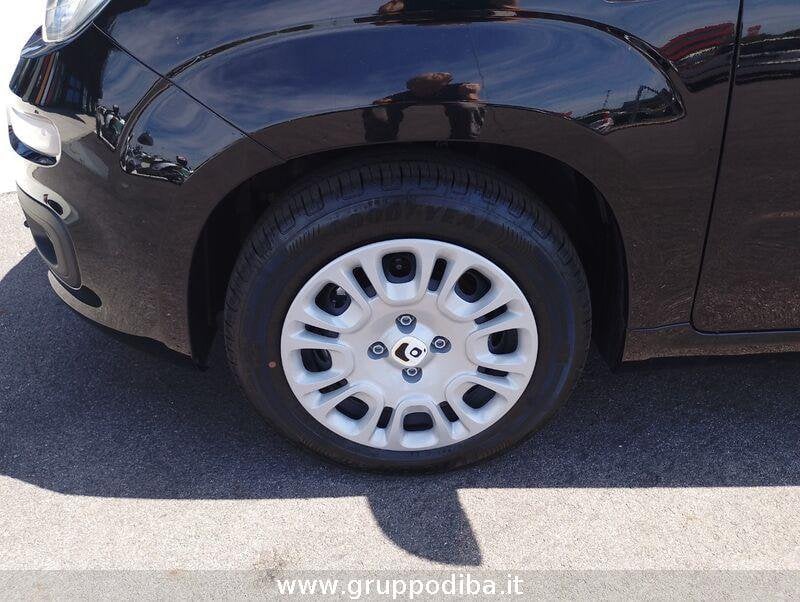 Fiat Panda Panda My22 1.0 70cv Hybrid Panda- Gruppo Diba