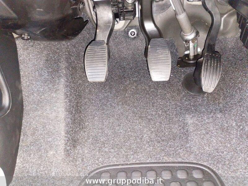 Fiat Panda Panda My22 1.0 70cv Hybrid Panda- Gruppo Diba