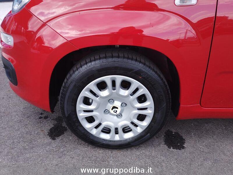 Fiat Panda Panda 1.0 70cv Hybrid Panda- Gruppo Diba