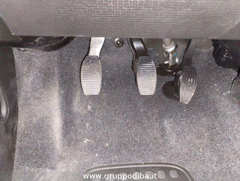 Fiat Panda Panda 1.0 70cv Hybrid Panda- Gruppo Diba