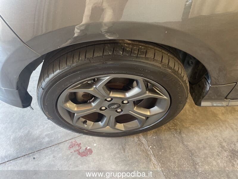 Ford Ecosport EcoSport 1.0 ecoboost ST-Line 100cv my19- Gruppo Diba