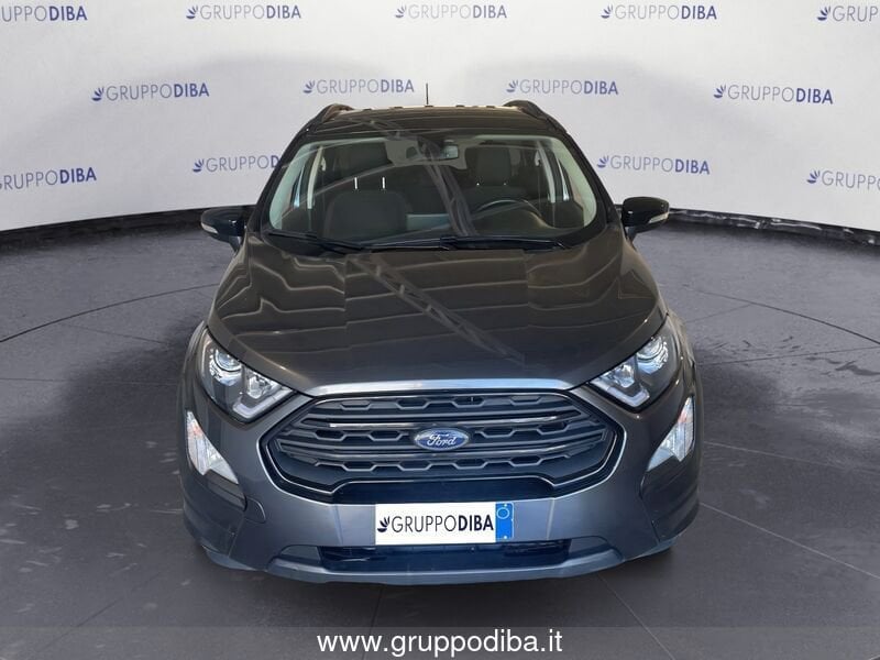 Ford Ecosport EcoSport 1.0 ecoboost ST-Line 100cv my19- Gruppo Diba