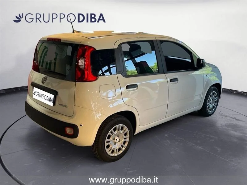 Fiat Panda Panda 1.0 70cv Hybrid Panda- Gruppo Diba