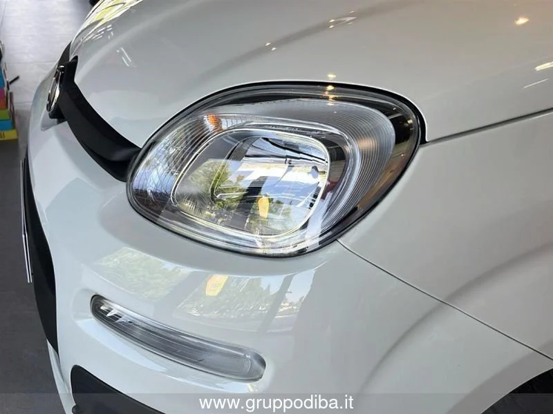 Fiat Panda Panda 1.0 70cv Hybrid Panda- Gruppo Diba