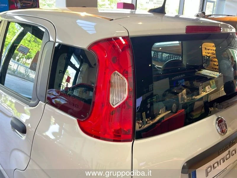 Fiat Panda Panda 1.0 70cv Hybrid Panda- Gruppo Diba