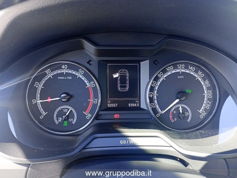 Skoda Octavia Wagon Octavia Wagon 1.5 g-tec Style 130cv dsg- Gruppo Diba